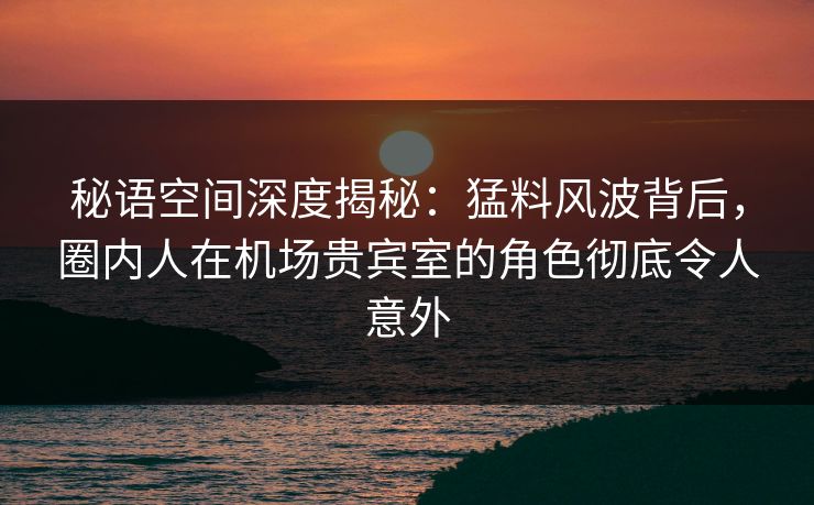 秘语空间深度揭秘：猛料风波背后，圈内人在机场贵宾室的角色彻底令人意外