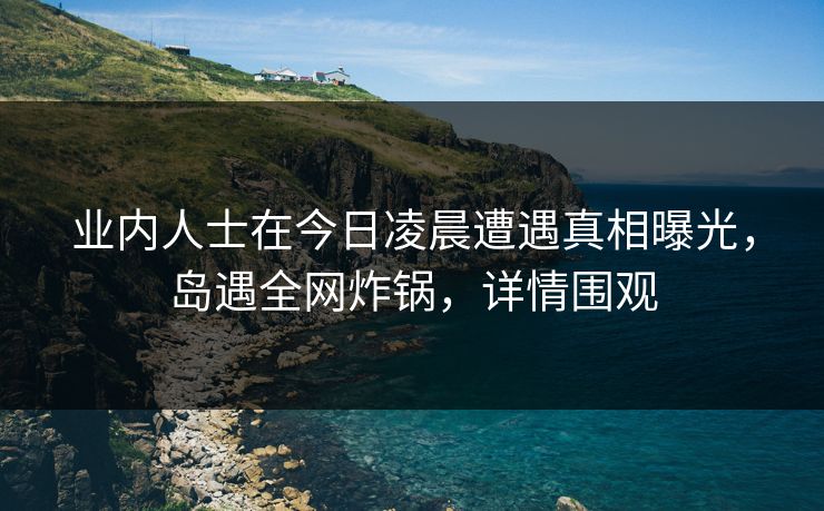 业内人士在今日凌晨遭遇真相曝光，岛遇全网炸锅，详情围观