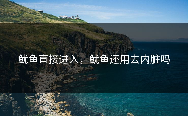 鱿鱼直接进入,鱿鱼还用去内脏吗 鱿鱼直接进入,鱿鱼还用去内脏吗