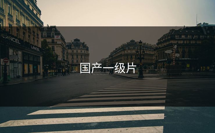 国产一级片