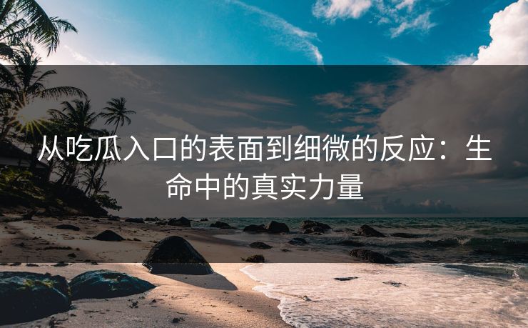 从吃瓜入口的表面到细微的反应：生命中的真实力量